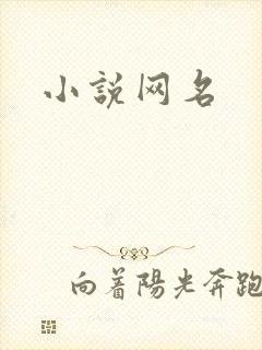 小说网名