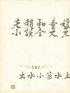 老赵和童媛媛的小说全文免费阅读