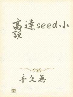 高达seed小说