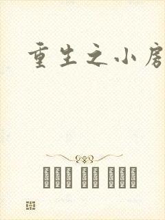 重生之小房东