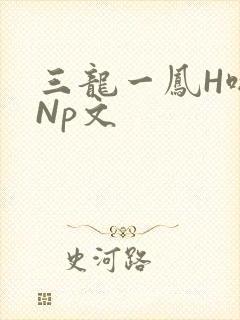 三龙一凤H啪肉Np文