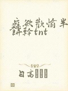 瘾欲欢愉半块小饼干tnt