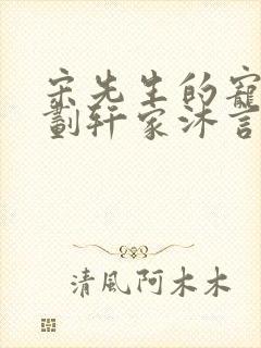 宋先生的宠妻计划轩家沐言