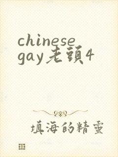 chinesegay老头4