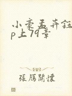 小豪孟卉钰慧三p上79章