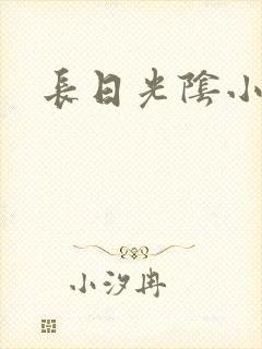 长日光阴小说
