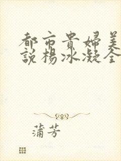 都市贵妇美腿小说杨冰凝全文阅读