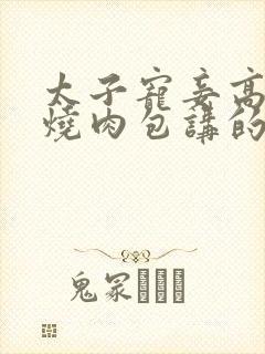 太子宠妾高肉红烧肉包讲的什么