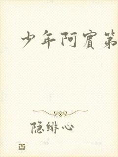 少年阿宾第二部