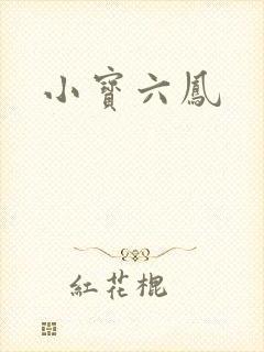 小宝六凤