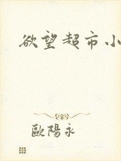 欲望超市小说