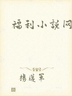 福利小说网