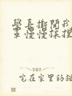 学长撕开我的乳罩慢慢揉捏小说