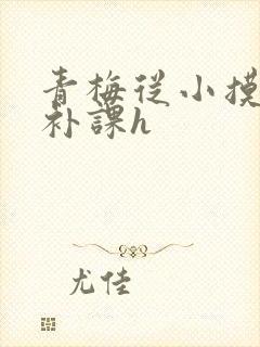 青梅从小摸到大补课h