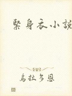 紧身衣小说