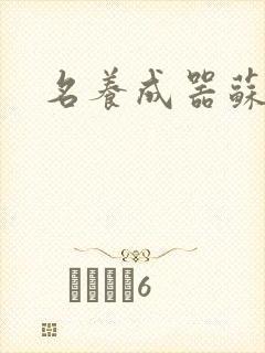 名养成器苏沫沫