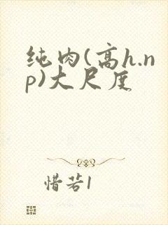 纯肉(高h.np)大尺度