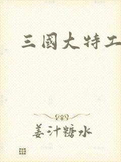 三国大特工