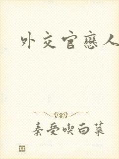 外交官恋人小说