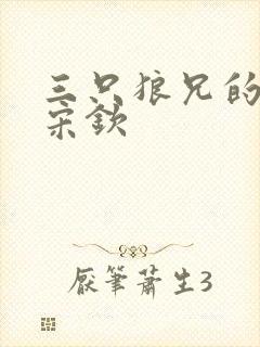 三只狼兄的宠妻宋钦