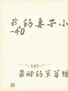 我的妻子小谨1-40