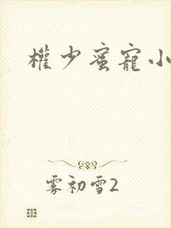 权少蜜宠小娇妻