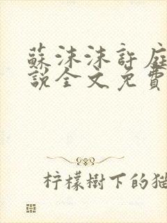 苏沫沫许庭川小说全文免费阅读