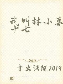 我叫林小喜今年十七