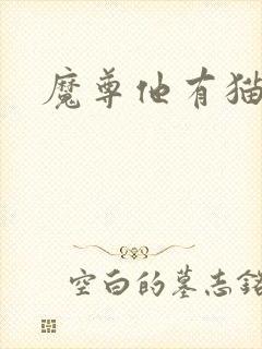 魔尊他有猫了