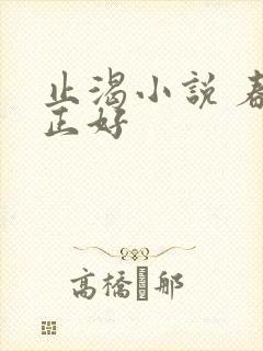 止渴小说 春光正好