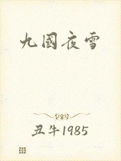 九国夜雪