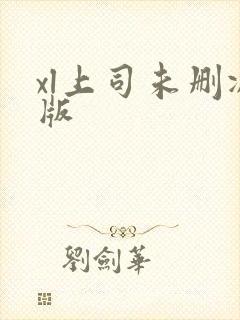 xl上司未删减版