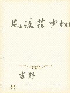 风流花少txt
