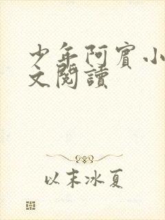 少年阿宾小说全文阅读