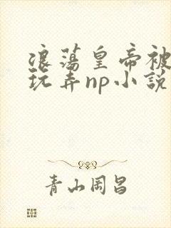 浪荡皇帝被多人玩弄np小说