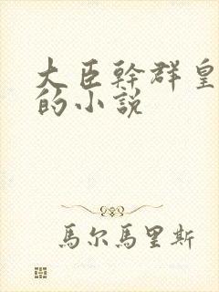 大臣干群皇太后的小说