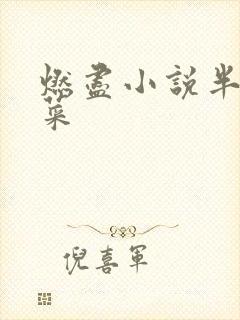 燃尽小说半截白菜