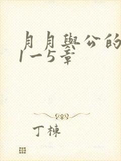 月月与公的激情1一5章