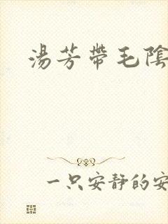 汤芳带毛阴部