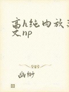高h纯肉放荡h文np