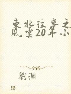 东北往事之黑道风云20年小说