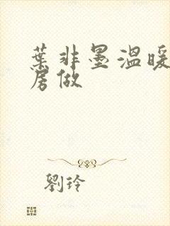 叶非墨温暖在厨房做