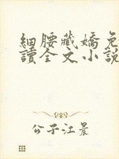 细腰藏娇免费阅读全文小说苏珞浅