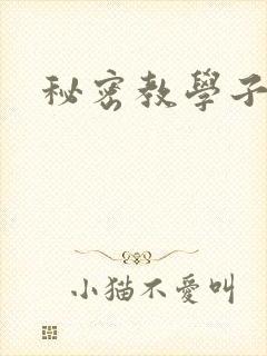 秘密教学子豪