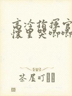 高冷指挥官在我怀里哭唧唧第二季