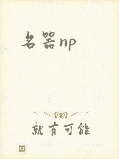 名器np