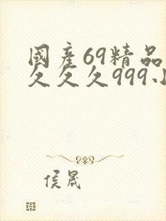 国产69精品久久久久999小说