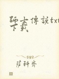 师士传说txt下载