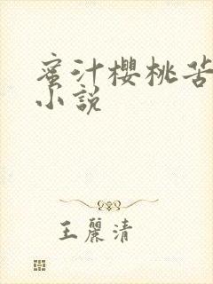 蜜汁樱桃苦咖啡小说