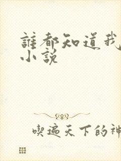 谁都知道我爱你小说